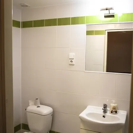 Apartment Vitkov *
