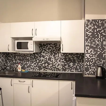 Vitkov Apartment *